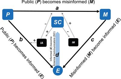 An Epidemic Analogy Highlights the Importance of Targeted Community Engagement in Spaces Susceptible to Misinformation